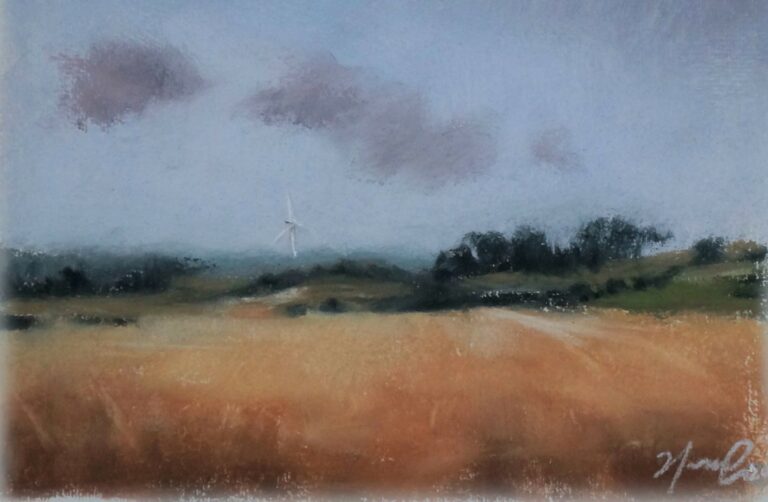 Wheat fields in Sommer