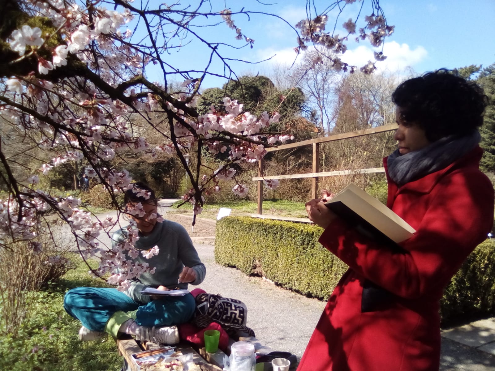 Woman sketching at the botanical garden