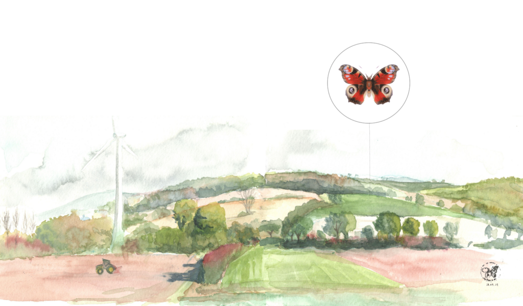 landscape illustration with an butterflyon a zoom up