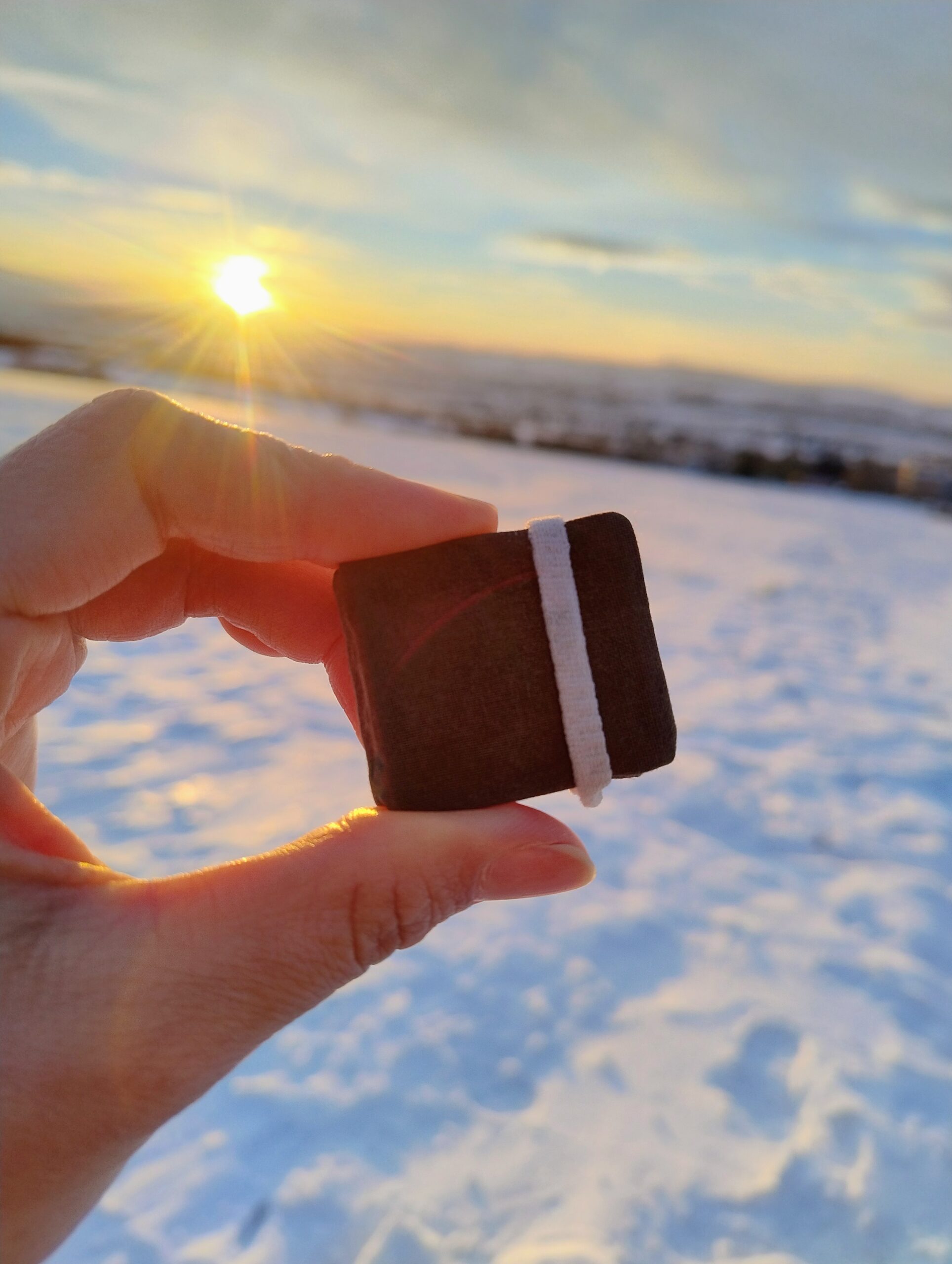 Hand holding a miniature book against a snowy landscape - Beatriz Herrera Campo