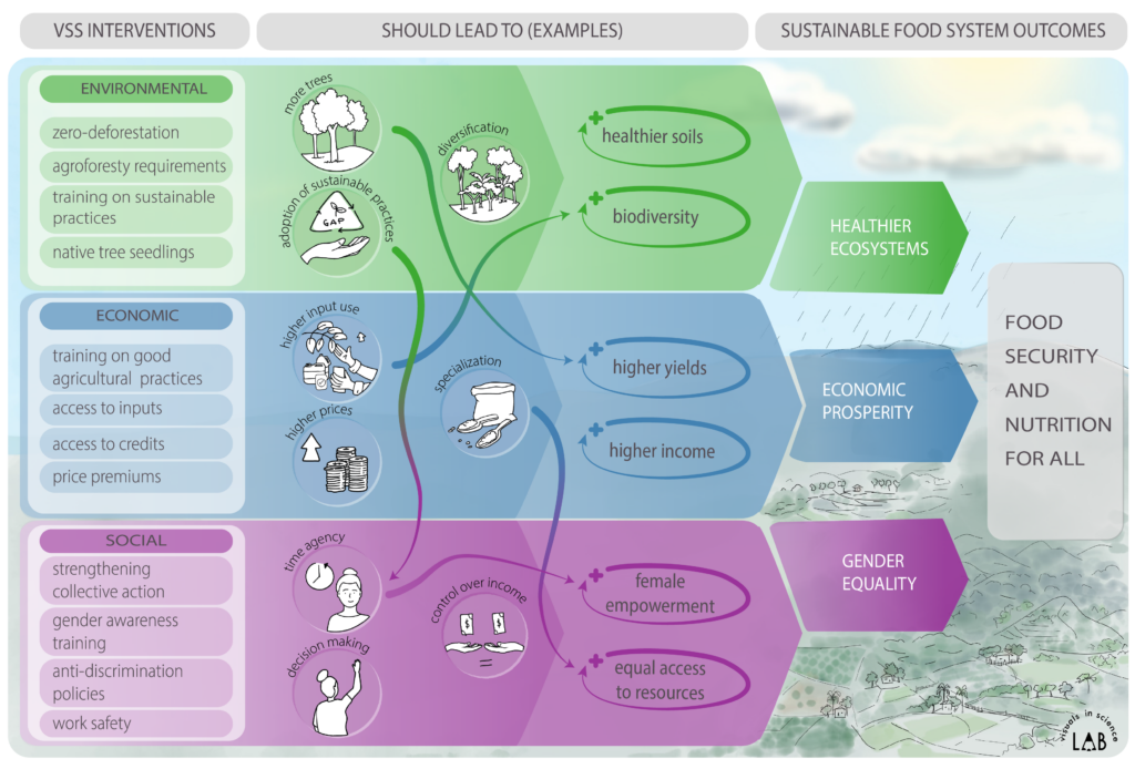 Conceptual framework